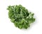 Kale placed on a white background