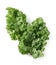 Kale placed on a white background