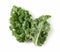 Kale placed on a white background