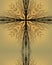 Kaleidoscope Cross: morning tree