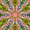 Kaleidoscope Edit with Colourful Flowers