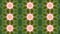 Kaleidoscope flower pattern background