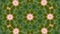 Kaleidoscope flower pattern background