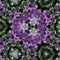 Kaleidoscope Mehndi style with circles violet floral fractal