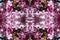 Kaleidoscope pattern of a pink tree with flowers in bloom