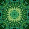 Kaleidoscope from a photo - a green pattern from hogwash umbrellas