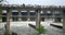 Kaliasot Dam gates opened in Bhopal, india