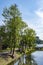 Kaliningrad, picturesque trees on the shore of the ancient Lower Pond