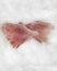 Kalkan Fish Fillet on Crushed Ice.