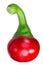 Kalocsai alascony cherry pepper, paths