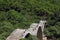 Kalogeriko stone bridge on Vikos gorge