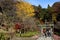 Kamakura autumn