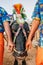 Kambala or Kambla, an annual buffalo race conducted at paddy fields in Karnataka state, India