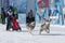 Kamchatka Peninsula Kids Competitions Dog Sled Racing Dyulin Beringia