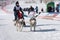 Kamchatka Peninsula Kids Competitions Dog Sled Racing Dyulin Beringia