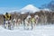 Kamchatka Sled Dog Race Beringiya, Russian Cup of Dog Sled snow disciplines