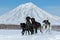 Kamchatka Sled Dog Race Beringiya, Russian Cup of Sled Dog Racing snow disciplines