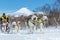 Kamchatka Sled Dog Racing Beringiya, Russian Cup of Dog Sled snow disciplines