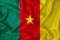 Kamerun flag on the background texture. Concept for designer solutions