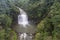 Kamikawa Otaki Waterfall and green forest in Kagoshima