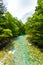 Kamikochi Clear Azusa River Downstream Forest