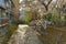 Kamo river in the center of Kyoto in spring