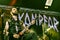 Kampfar heavy black metal band live in concert 2016