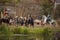 KAMYANETS-PODILSKY, UKRAINE - SEPTEMBER 29, 2018: Members of history club wear historical uniform 17 century during historical