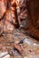 Kanarra creek slot canyon in Zion national park, Utah