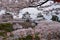 Kanazawa Castle through Cherry Blossoms - Kanazawa, Japan