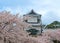 Kanazawa Castle in Spring
