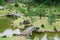 Kanazawa gardens, Japan