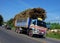 Kanchanaburi, Thailand: Truck with Sugar Cane