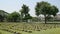 Kanchanaburi war cemetery with an abundance of rows of headstones and a grove of trees in the center