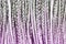 kanekalon gray gradient violet, close up braids