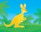 Kangaroo