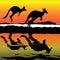 Kangaroo Australia icon
