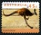 Kangaroo Australian Postage Stamp