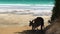 Kangaroo and baby kangaroo jumping on the beach in Cape Le Grand National Park