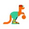 Kangaroo basketball player and ball. Australia animal in sneaker