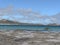 Kangaroo on the beach of Lucky Bay