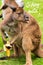 Kangaroo eating a banana with a funny face and G\'Day Mate greeting