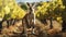 Kangaroo Encounters in the Lush Vineyard. Generative AI