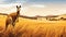 Kangaroo Grazing In Rural Landscape - Kerem Beyit Style Artwork
