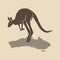 Kangaroo icon australia