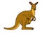Kangaroo illustration vector.Kangaroo stock image vector