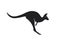 Kangaroo jump icon. side view. Australian symbol. isolated vector image of wild animal