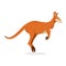 Kangaroo Jumping Isolated in White Background, Vector Illustration. Macropodidae.