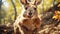 A kangaroo jumps in the forest