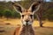 a kangaroo with large ears